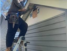 Best Historical Building Siding Restoration  in Falfurrias, TX